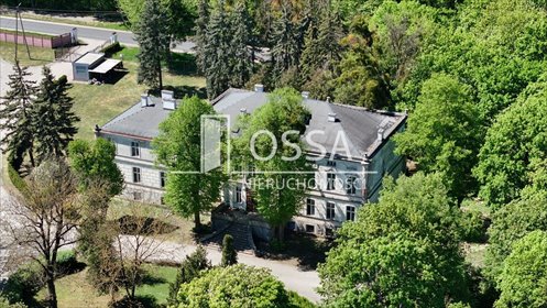 Zabytkowy pałac z 6 ha parku - potencjał inwestycyjny dom Ostaszewo