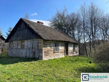 Do sprzedania malownicze siedlisko 1,81 ha z domem do rozbiórki dom Śliwnica
