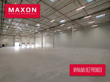 lokal użytkowy na wynajem 2430m2 lokal użytkowy Nowa Wieś Legnicka