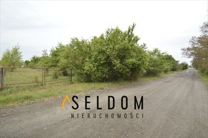 działka na sprzedaż 7842m2 działka Prochowice