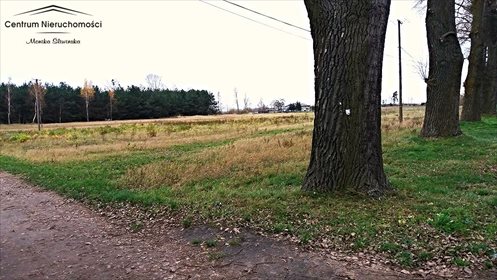 Działka rolna na sprzedaż Kokocko 16 500m2 Foto 5