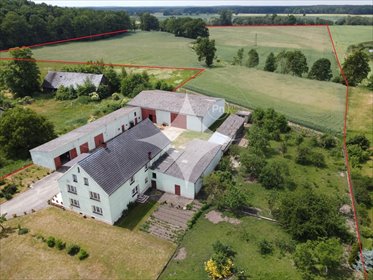 działka na sprzedaż 10000m2 działka Golnice