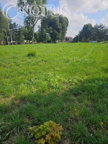 działka na sprzedaż 2758m2 działka Marcinowice