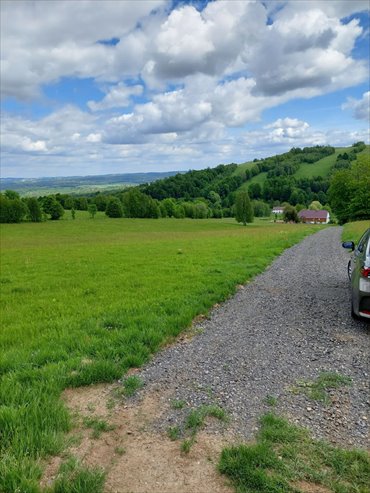 działka na sprzedaż 5000m2 działka Gierczyn