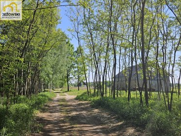 Działka 1580 m² z warunkami zabudowy i mediami działka Ławeczko Stare
