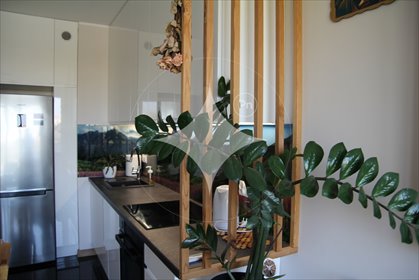 mieszkanie na wynajem 34m2 mieszkanie Łódź, Polesie