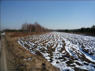 działka na sprzedaż 18700m2 działka Żabieniec, Żabieniec