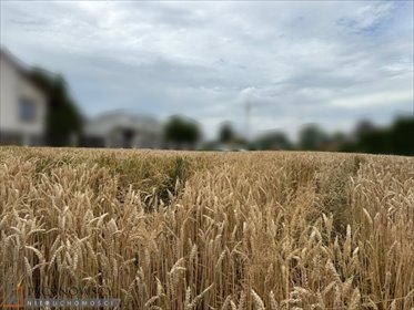 działka na sprzedaż 3900m2 działka Dziekanowice