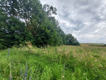 Działka 3000 m² w Tetyńu - polecam działka Tetyń