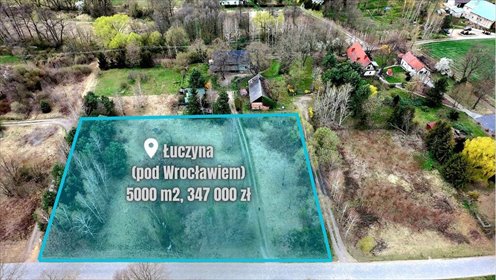 działka na sprzedaż 5000m2 działka Łuczyna