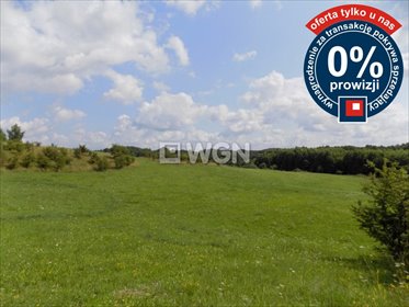 działka na sprzedaż 106027m2 działka Przytuły