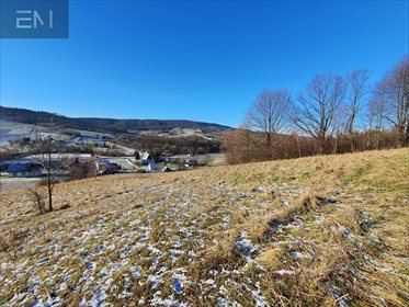 Działka budowlana na sprzedaż Żyznów 9 600m2 Foto 2
