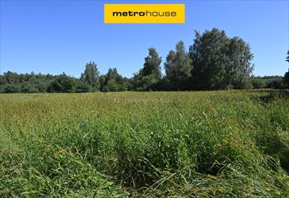 Do sprzedania duża działka 24 167 m² w Wólce Łasieckiej działka Wólka Łasiecka