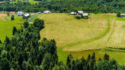 działka na sprzedaż 1200m2 działka Żurowa