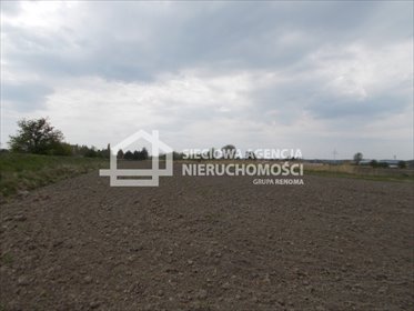Działka rolna na sprzedaż Gdańsk, Olszynka 8 598m2 Foto 5