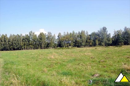 Urokliwa działka 6100 m² z dobrym dojazdem - polecam! działka Kamień