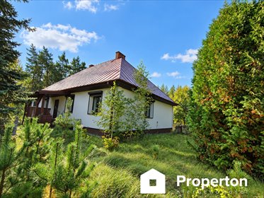 Na sprzedaż klimatyczna leśniczówka 214,8 m² w Budziskach dom Budziska