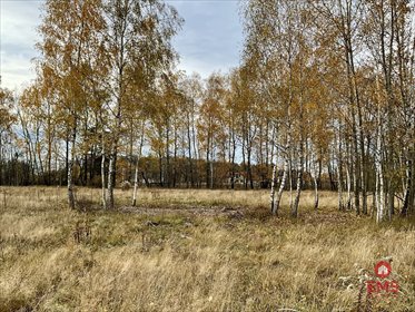 działka na sprzedaż 1070m2 działka Sobolewo