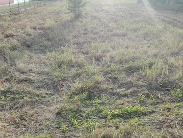 działka na sprzedaż 4870m2 działka Sokołów