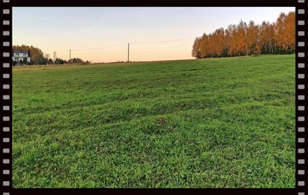 Działka budowlana na sprzedaż Grabie 3 700m2 Foto 3