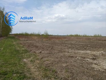 działka na sprzedaż 8600m2 działka Gołków