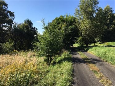 Działka rolna na sprzedaż Mikołów, Gniotek 2 493m2 Foto 7