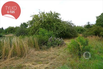 działka na sprzedaż 1000m2 działka Gorzów Wielkopolski, Zieleniec, Sulęcińska