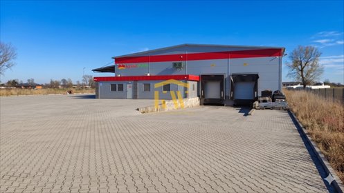 magazyn na wynajem 807m2 magazyn Potworów
