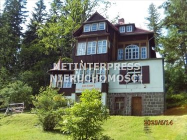 lokal użytkowy na sprzedaż 600m2 lokal użytkowy Sosnówka