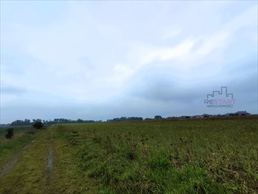Duża działka 6600 m² z warunkami zabudowy, cisza i natura działka Nowe Faszczyce