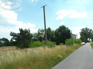Działka budowlana na sprzedaż Podbolesławiec 3 660m2 Foto 2