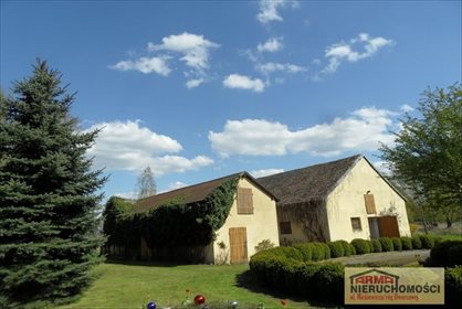 lokal użytkowy na wynajem 288m2 lokal użytkowy Stargard, Starówka, Brzozowa