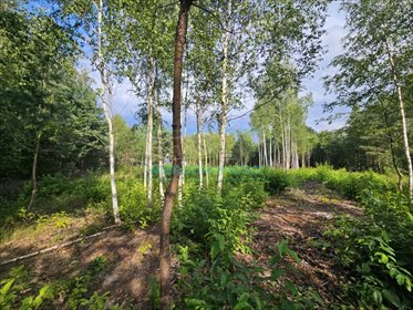 działka na sprzedaż 1000m2 działka Musuły