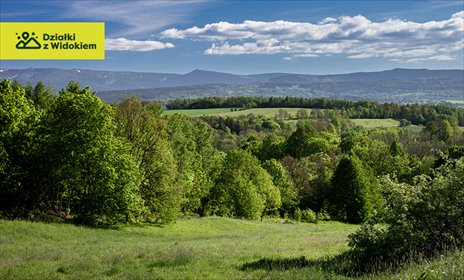 działka na sprzedaż 1172m2 działka Pasiecznik, Pasiecznik