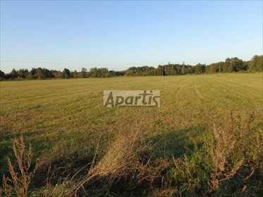 Działka budowlana na sprzedaż Krubki-Górki 2 000m2 Foto 5