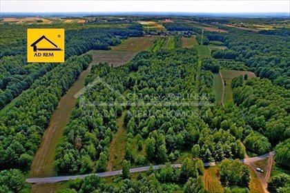 Działka 35 000 m² z lasem - blisko Kazimierza Dolnego działka Uściąż, Uściąż