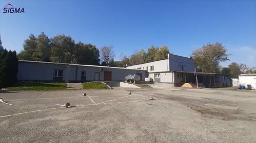 Lokal użytkowy na sprzedaż Bytom, Karb 1 200m2 Foto 4
