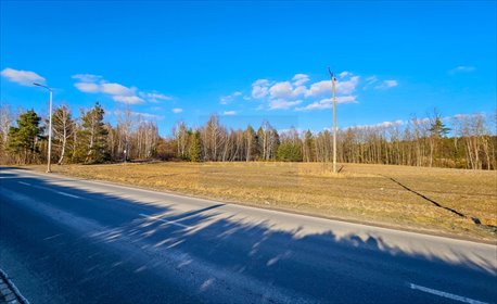 Działka budowlana na sprzedaż Myszków, Słowackiego 13 270m2 Foto 6