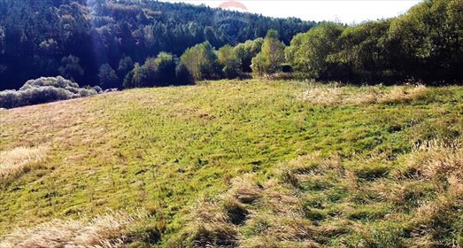 Działka budowlana na sprzedaż Czaszyn 38 200m2 Foto 5