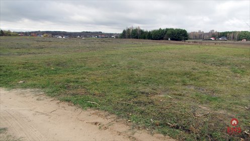 działka na sprzedaż 1000m2 działka Tołcze