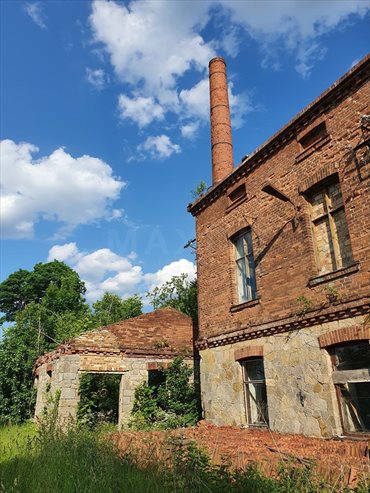 Lokal użytkowy na sprzedaż Machory 1 377m2 Foto 5