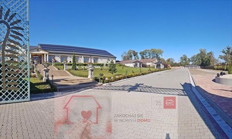 lokal użytkowy na sprzedaż 3500m2 lokal użytkowy Piaski