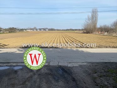 Działka inna na sprzedaż Warszawa, Wilanów, Latoszki 3 552m2 Foto 2
