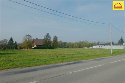 Działka inna pod dzierżawę Wodzisław Śląski, Czarnieckiego 4 321m2 Foto 3