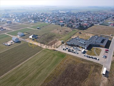 Działka budowlana 725 m² z mediami i szybkim dojazdem działka Święciechowa