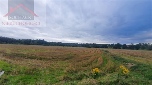 Działka budowlana na sprzedaż Wolimierz 14 000m2 Foto 4
