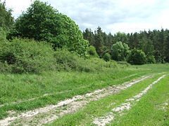 działka na sprzedaż 2565m2 działka Tanowo, Wojska Polskiego