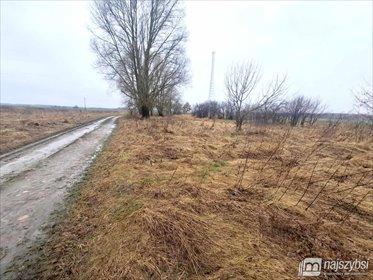 działka na sprzedaż 4300m2 działka Dobrzany, obrzeża