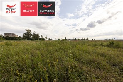 Działka inwestycyjna 9 678 m² z projektem magazynu działka Gniew, Krasickiego