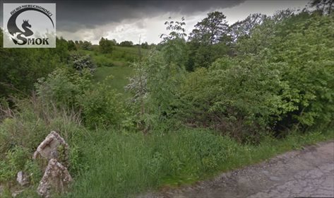 Działka budowlana na sprzedaż Kraków, Krowodrza, Witkowice 4 700m2 Foto 1